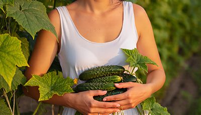 Woman holding fresh cucumbers in a garden — cucumber extract hydrating and soothing skincare ingredient for ORY Skincare.