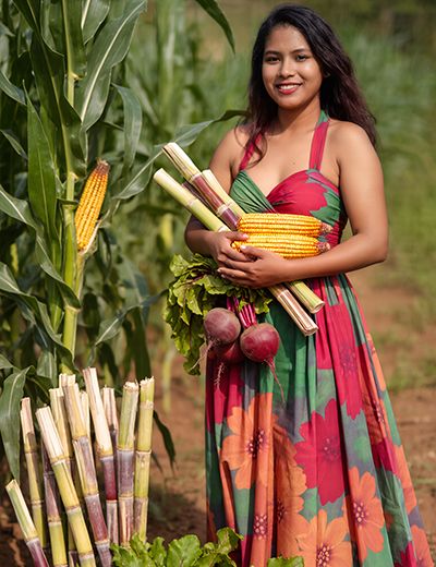 Woman holding sugarcane and corn in a field, representing sodium lactate as a naturally derived ORY Skincare ingredient that supports hydration and moisture balance.