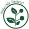 natural_derived_icon-2.webp